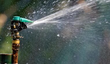 Tampa's new FLIP program can help you reduce water usage with Florida-native landscapes