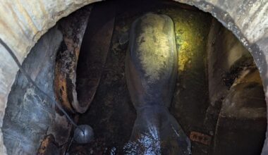 A 410-pound manatee rescued from a Florida storm drain is recovering at SeaWorld Orlando :: WRAL.com