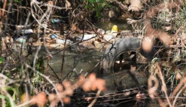 Transformation of McCoys Creek headwaters kicks off in North Riverside