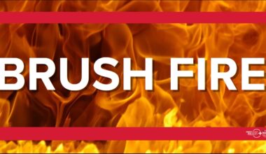 Brush fire reported on UNF property, fire rescue says