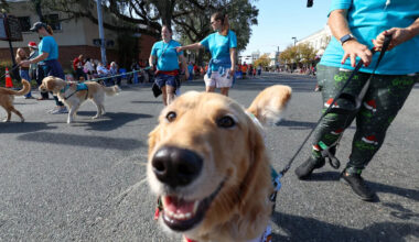 Yahoo lifestyle home