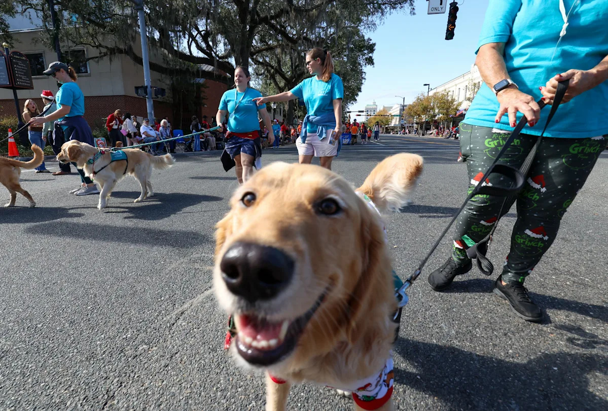 Yahoo lifestyle home
