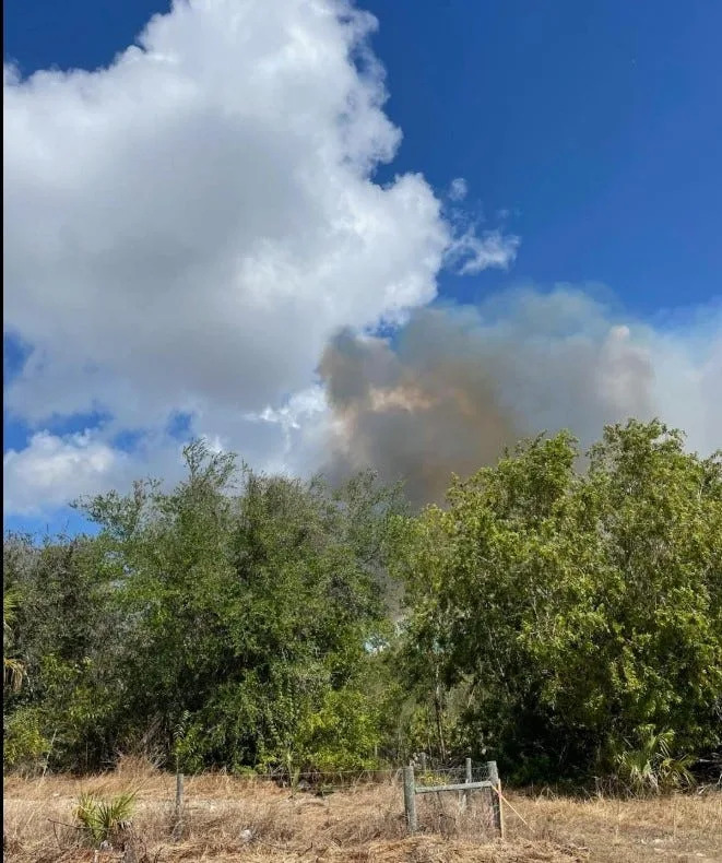 Cape Coral Fire Department is battling a brush fire near Kismet Parkway and Andalusia Boulevard on Saturday, Feb. 28, 2026.