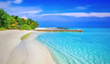 Fun things to do in South Florida