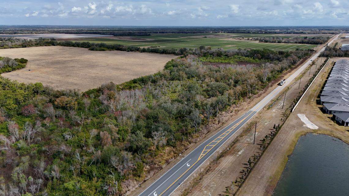 Lennar Homes LLC proposed a rezone of over 680 acres of agricultural land near Buckeye Road to build about 2,000 single-family homes in Manatee County, shown on Feb. 12, 2026.