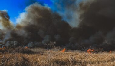 All Tampa Bay-area counties are under a burn ban: What to know