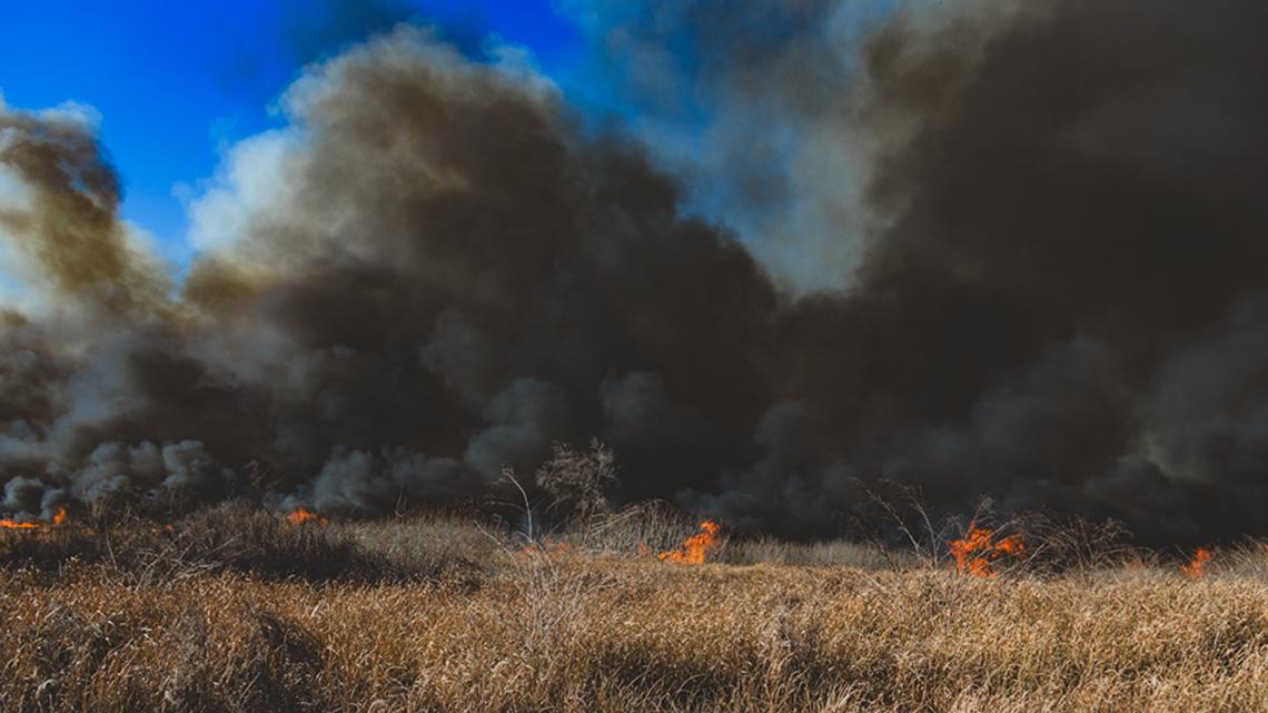 All Tampa Bay-area counties are under a burn ban: What to know