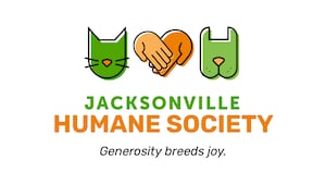 Yahoo lifestyle home