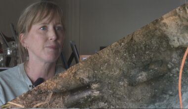 Contractor to reimburse homeowner after sewer line is ruptured during fiber installation