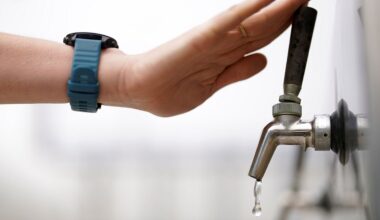 (AP Photo/Gregory Bull)