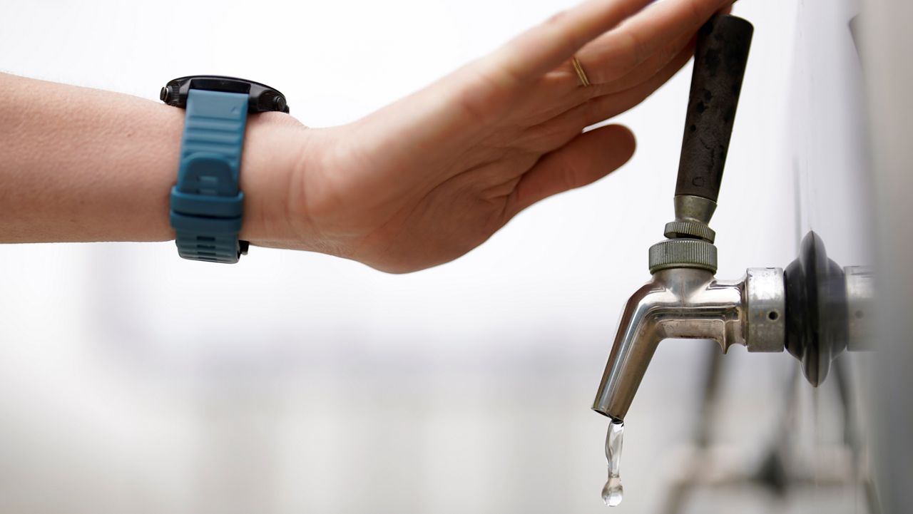 (AP Photo/Gregory Bull)