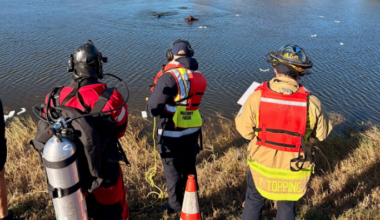 Florida man dives into water, rescues pregnant woman from sinking vehicle