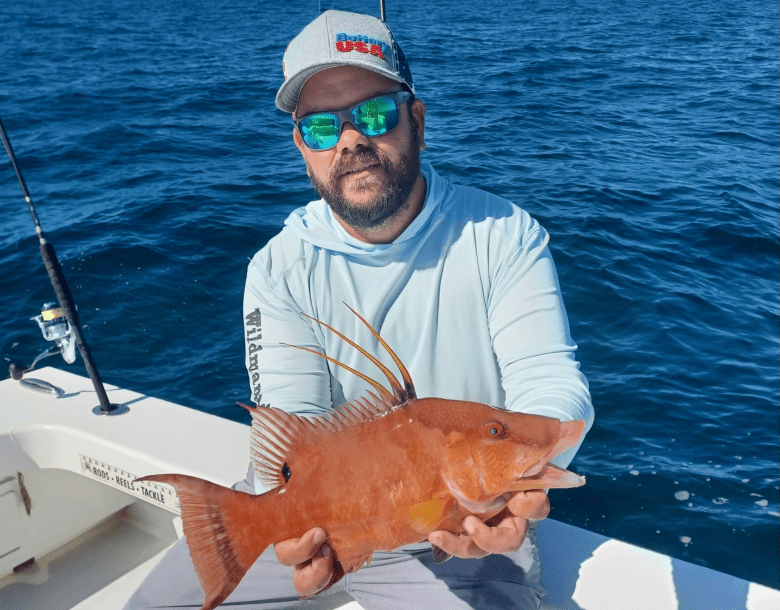 A person with a beard and sunglasses sits on a boat, smiling while holding a large, bright orange hogfish with prominent dorsal spines. They are wearing a light-colored long-sleeved fishing shirt and a grey-and-white "Battery USA" baseball cap. The deep blue ocean water is visible in the background under a clear sky, and a portion of the boat's white hull and a fishing rod are visible on the left.