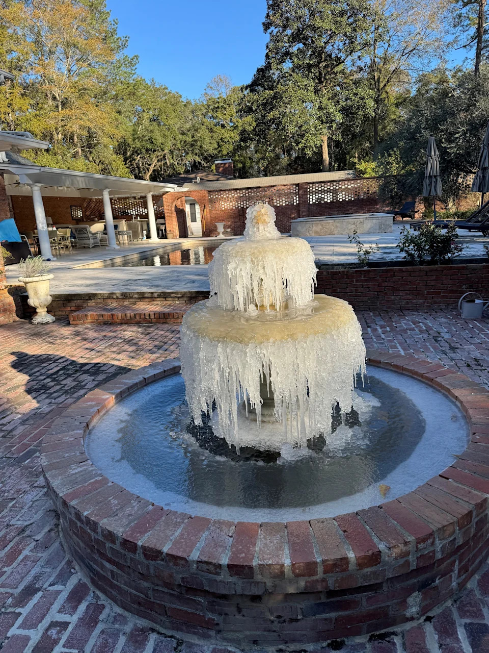 Mother Nature left a beautiful ice sculpture in the backyard of a home in Tallahassee after a freak Florida freeze on Feb. 1, 2026, encompassed much of the state with arctic temperatures.