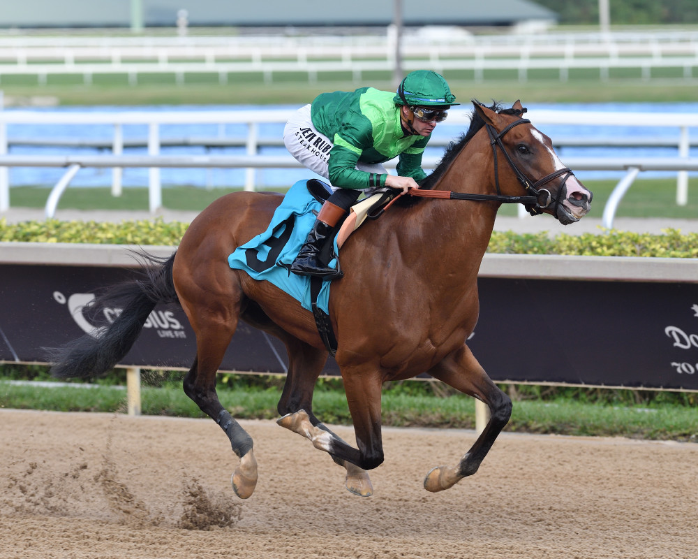 Download app from appStore