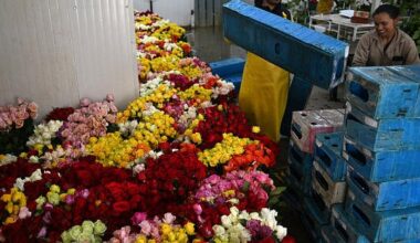 Valentine's Day flower imports bloom at Miami International Airport, despite tariffs, officials say