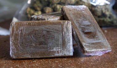 Nearly 170 pounds of hashish hidden in suitcases at Miami International Airport; European men charged, DOJ says