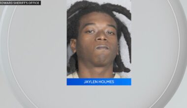 South Florida man arrested after malnourished dogs found crammed inside crate amid frigid temperatures, police say