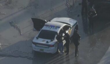 Driver assaults woman, tries to flee officers during pursuit through Miami-Dade, police say