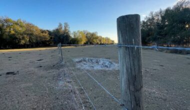 Florida sees record number of conservation applications