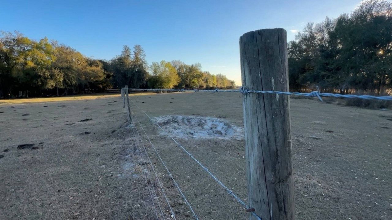 Florida sees record number of conservation applications