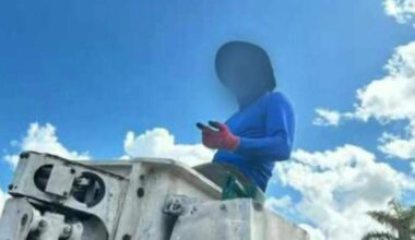 One Hollywood resident posted a picture that shows a man in an unmarked cherry-picker truck removing coconuts. The caption says: ‘Coconut thief going around taking every good coconut off every tree.’