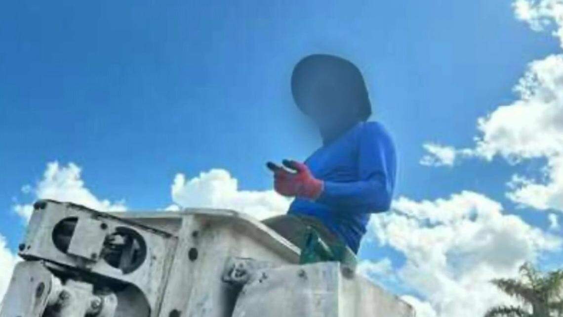 One Hollywood resident posted a picture that shows a man in an unmarked cherry-picker truck removing coconuts. The caption says: ‘Coconut thief going around taking every good coconut off every tree.’