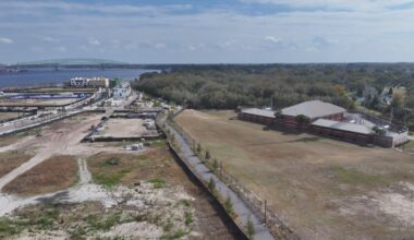 Dog park among new parks projects planned for Jacksonville's Southbank