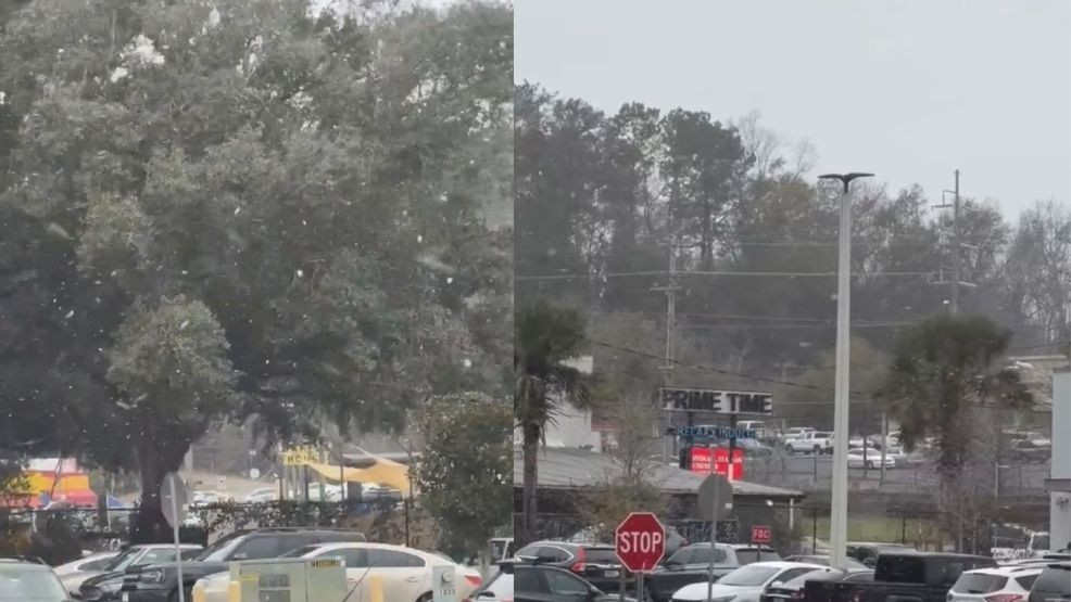 Snow seen in North Florida