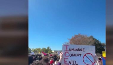 Florida students protest ICE activity amid mixed reactions