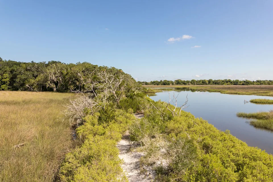 There are endless trails for weekend hikes in Jacksonville.