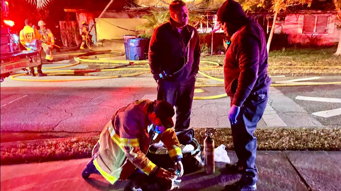 2 cats saved in Tampa house fire