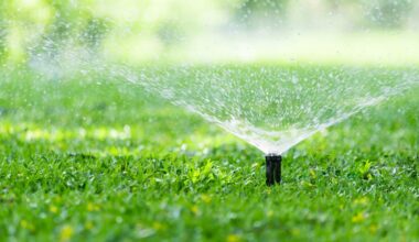 LIST: Once-a-week watering restrictions to take place in these Tampa Bay-area counties