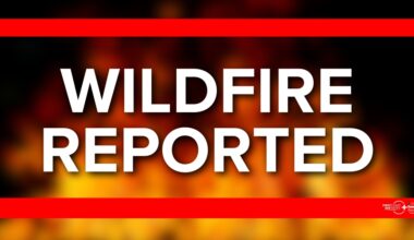 10-acre wildfire burning in Green Cove Springs, officials say