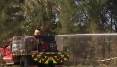 Brush fire burns in Cape Coral preserve amid dry conditions