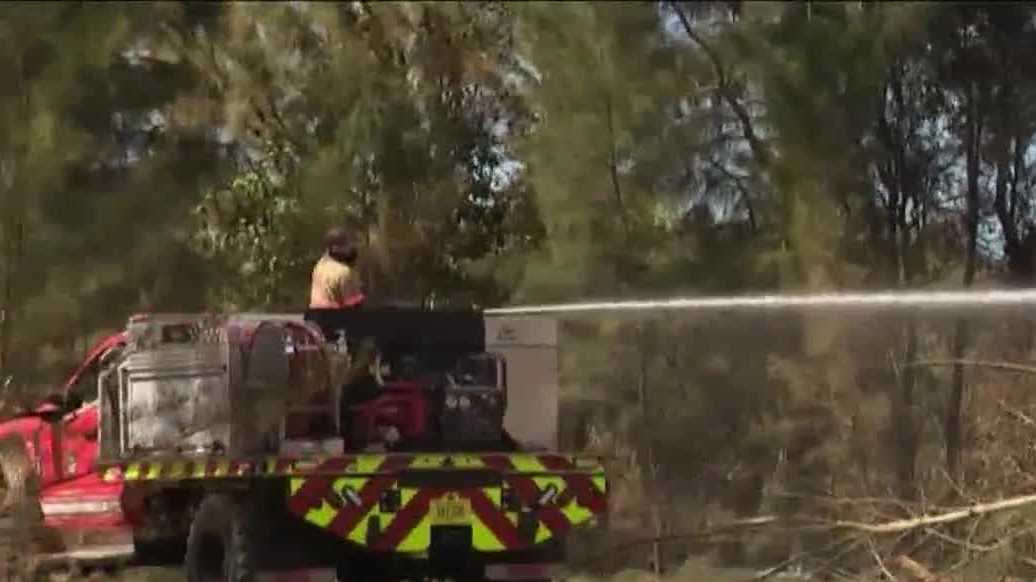 Brush fire burns in Cape Coral preserve amid dry conditions