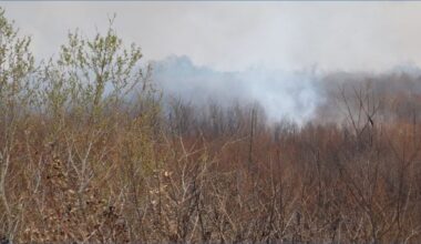 Fire officials warn Florida could be headed toward dangerous wildfire season as dry conditions worsen