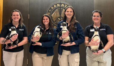 Florida Aquarium penguins visit state capitol to push for storm protection, reef restoration funding