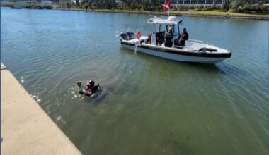 Cold temperatures don’t stop divers from pulling scooters, debris from Hillsborough River