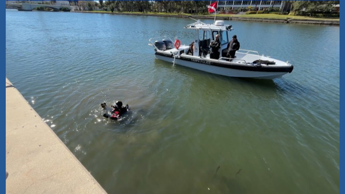 Cold temperatures don’t stop divers from pulling scooters, debris from Hillsborough River