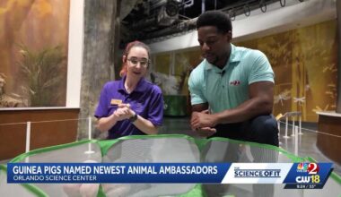 The Science Of It - OSC Welcomes New Ambassadors