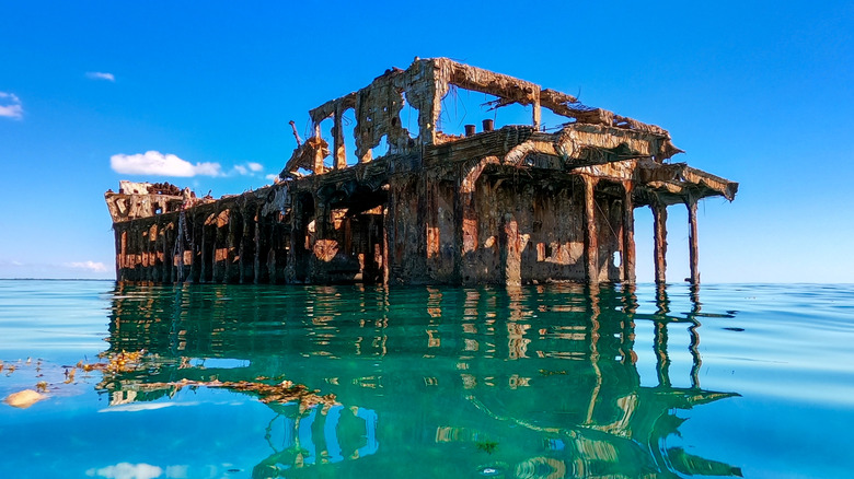 Shipwreck near Bimini, Bahamas
