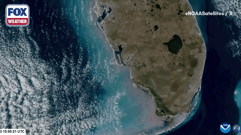 Satellite video shows National Wildfire spread across 25,000 acres in Florida