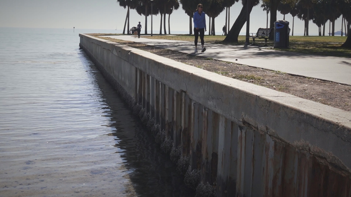 St. Petersburg launches long-term plan to strengthen seawalls
