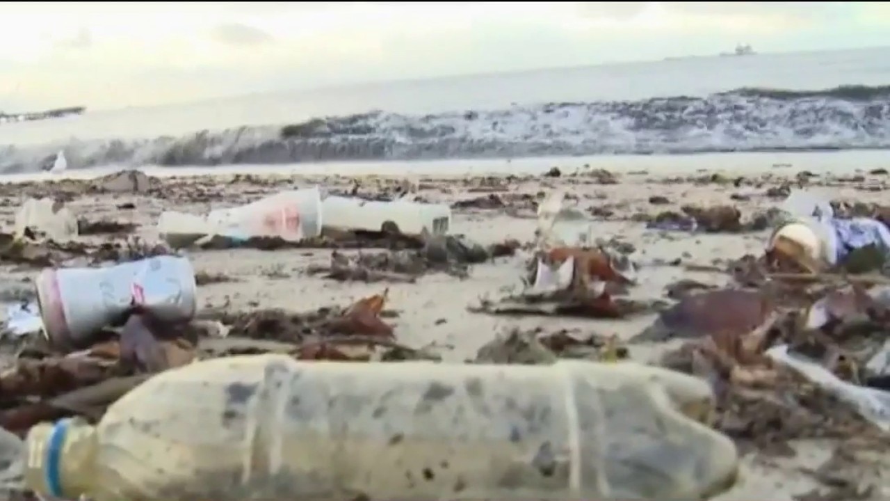 Study: Plastic waste harming local marine life