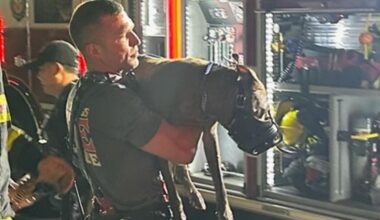 Man in critical condition, dog rescued from burning home in Pinellas County