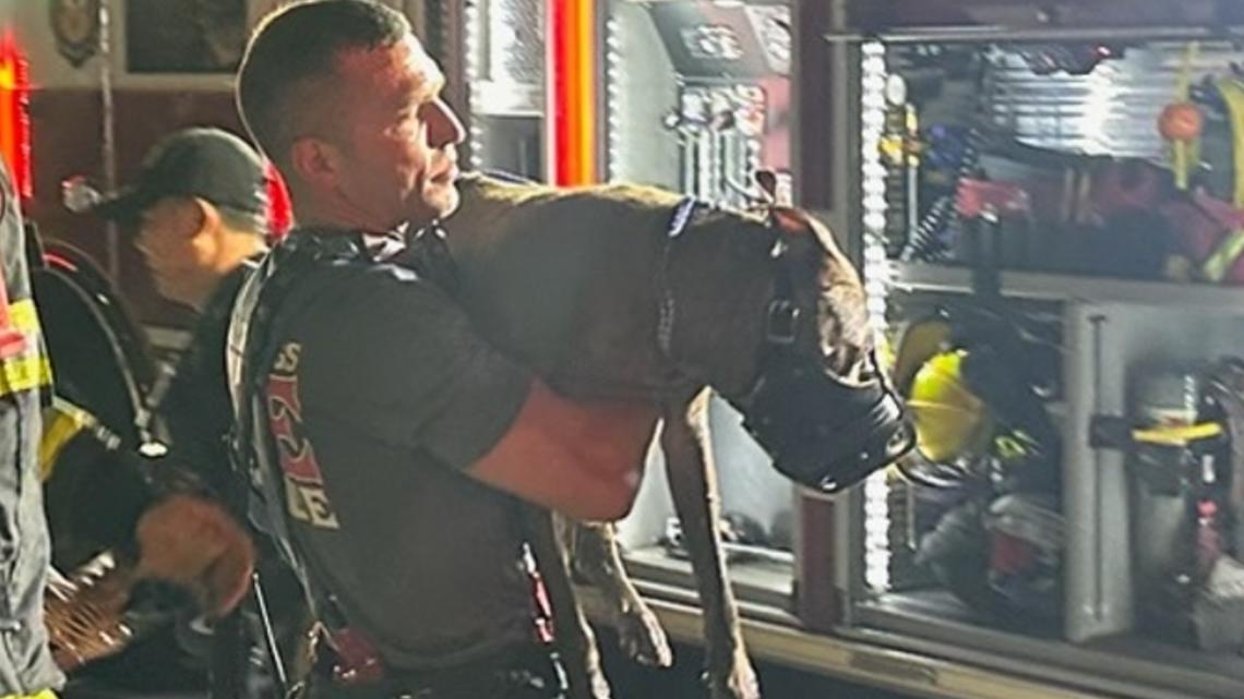 Man in critical condition, dog rescued from burning home in Pinellas County