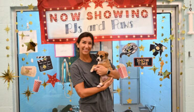 Yahoo lifestyle home