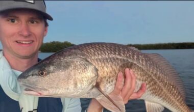 Good Day Fishing Report | FOX 13 Tampa Bay