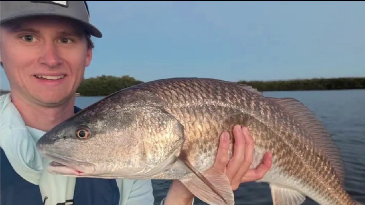 Good Day Fishing Report | FOX 13 Tampa Bay